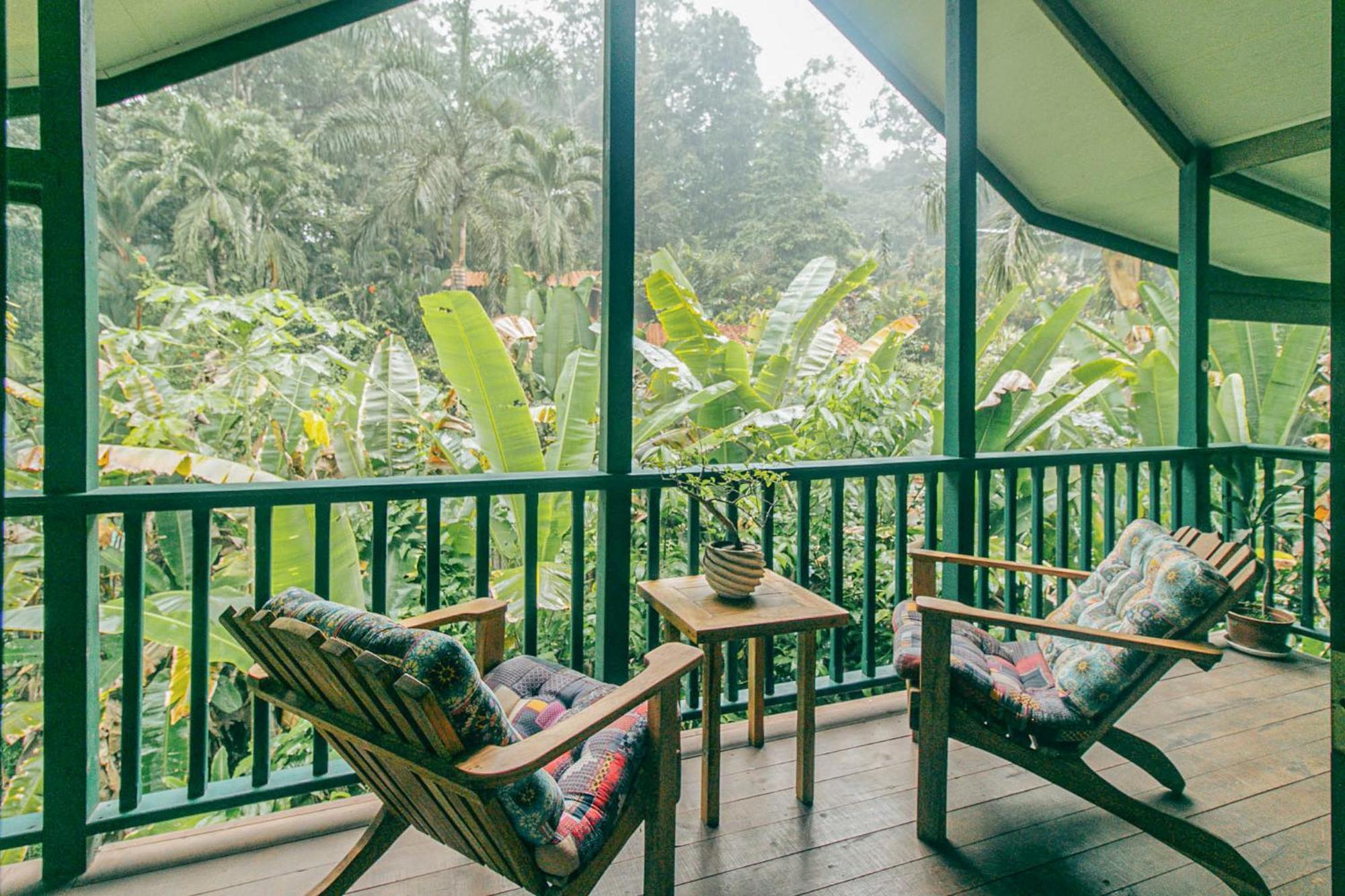 Bed and Breakfast Casa De Mono Bocas Big Creek Экстерьер фото