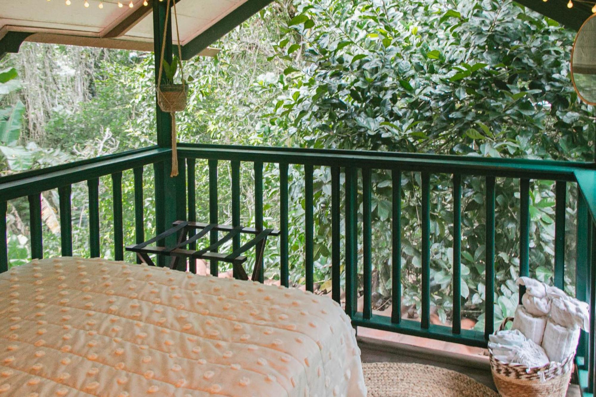 Bed and Breakfast Casa De Mono Bocas Big Creek Экстерьер фото