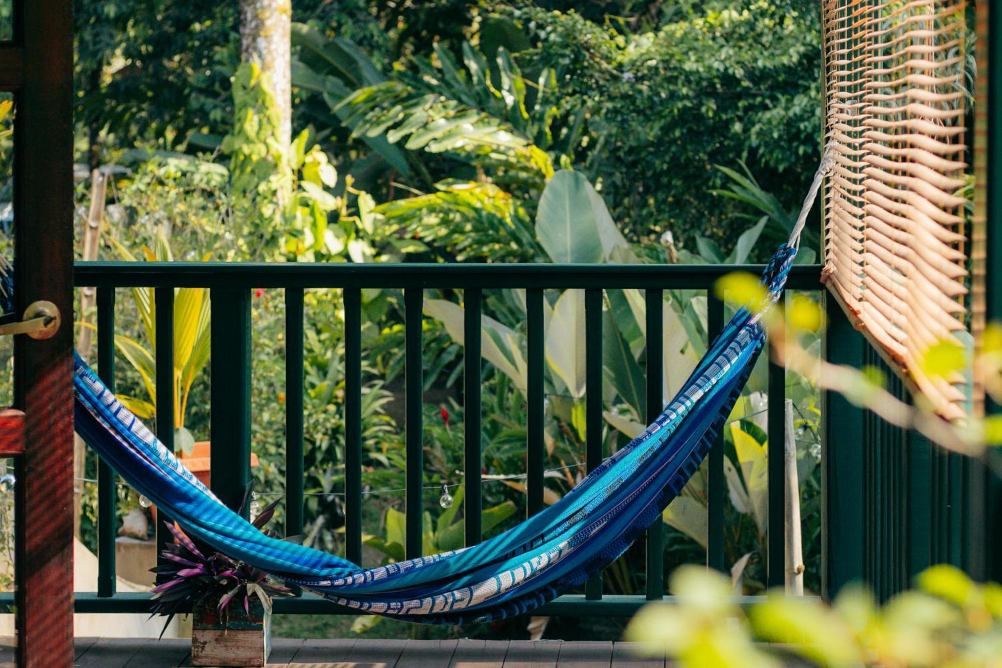 Bed and Breakfast Casa De Mono Bocas Big Creek Экстерьер фото