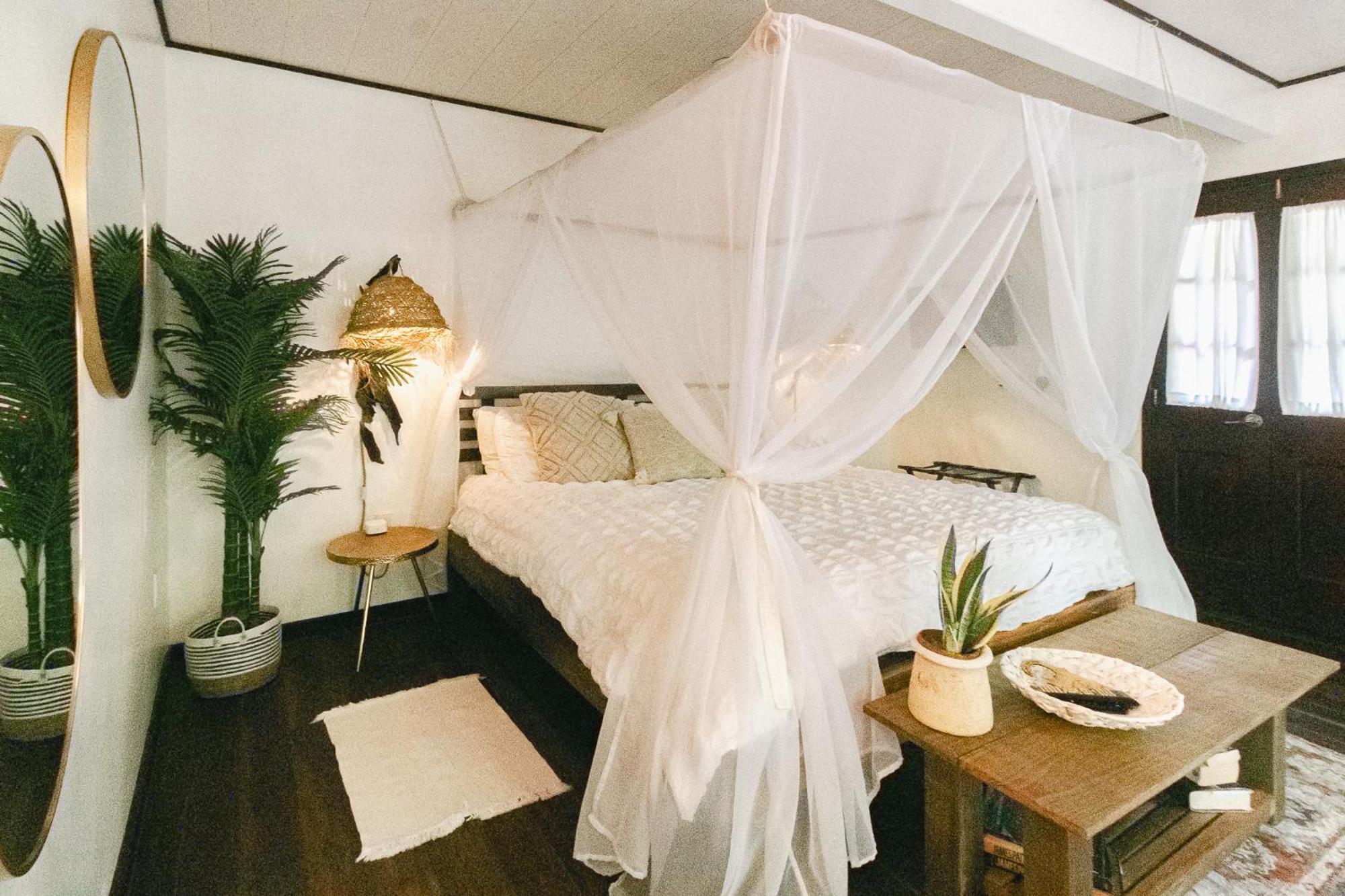 Bed and Breakfast Casa De Mono Bocas Big Creek Экстерьер фото
