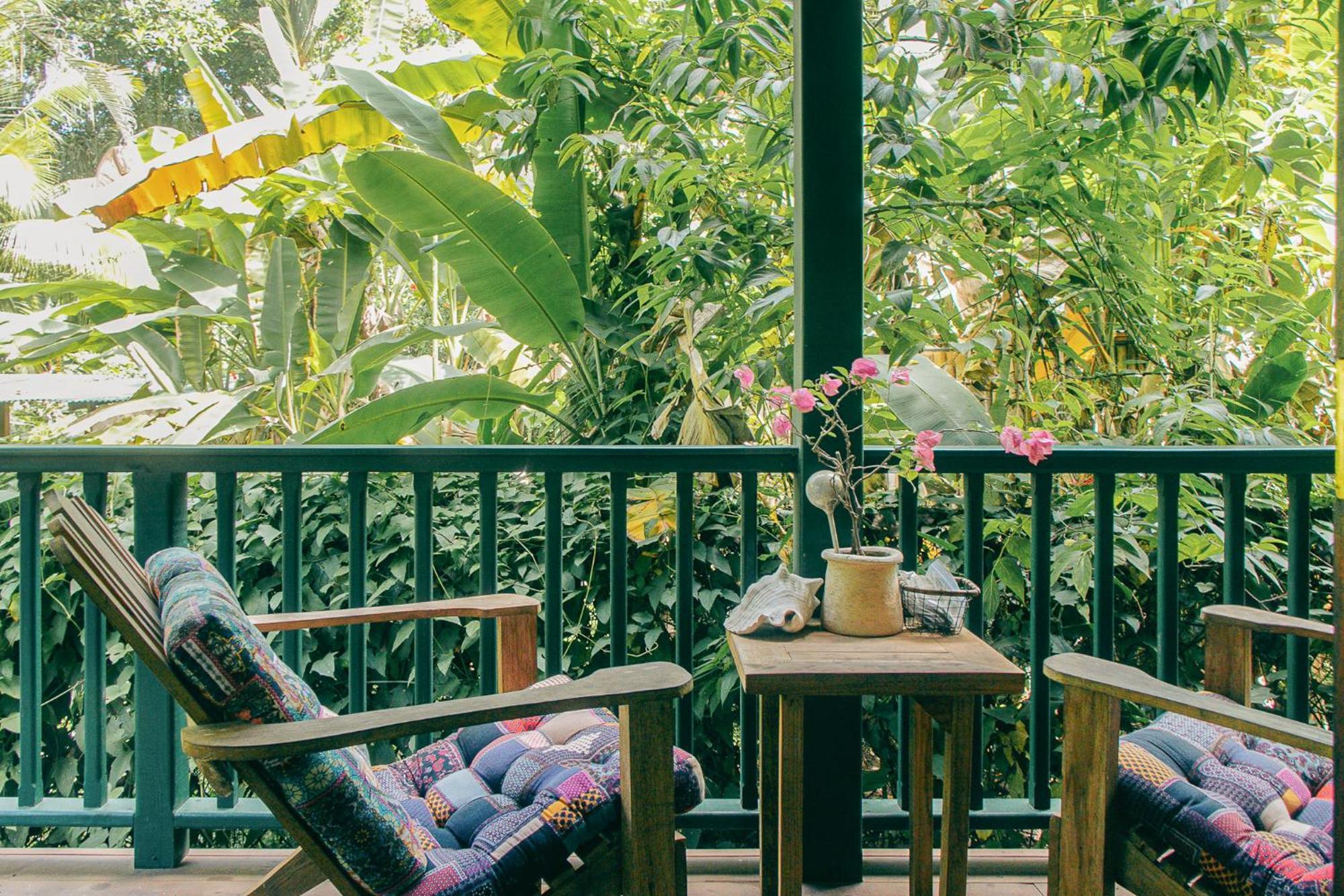 Bed and Breakfast Casa De Mono Bocas Big Creek Экстерьер фото