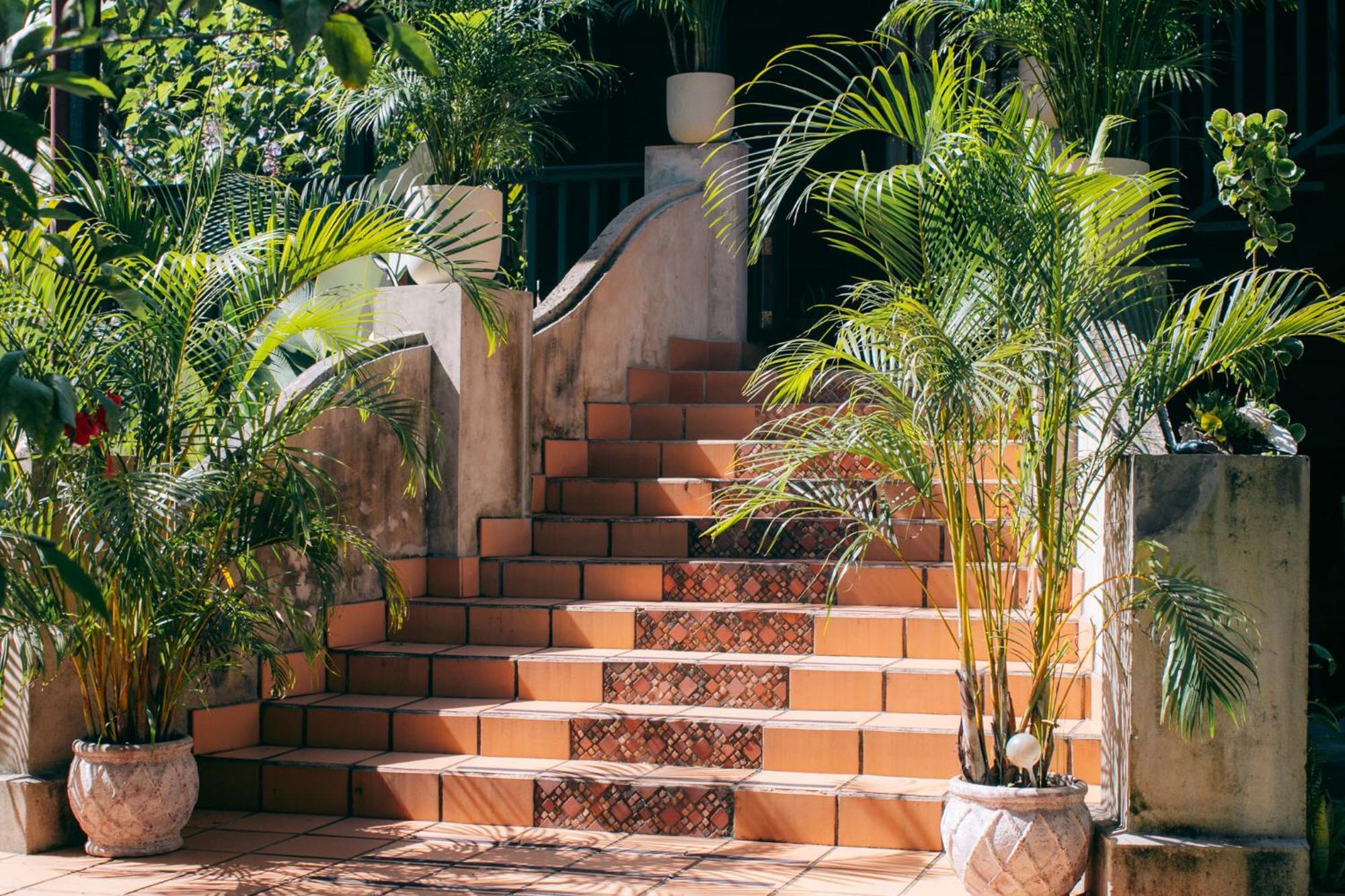 Bed and Breakfast Casa De Mono Bocas Big Creek Экстерьер фото