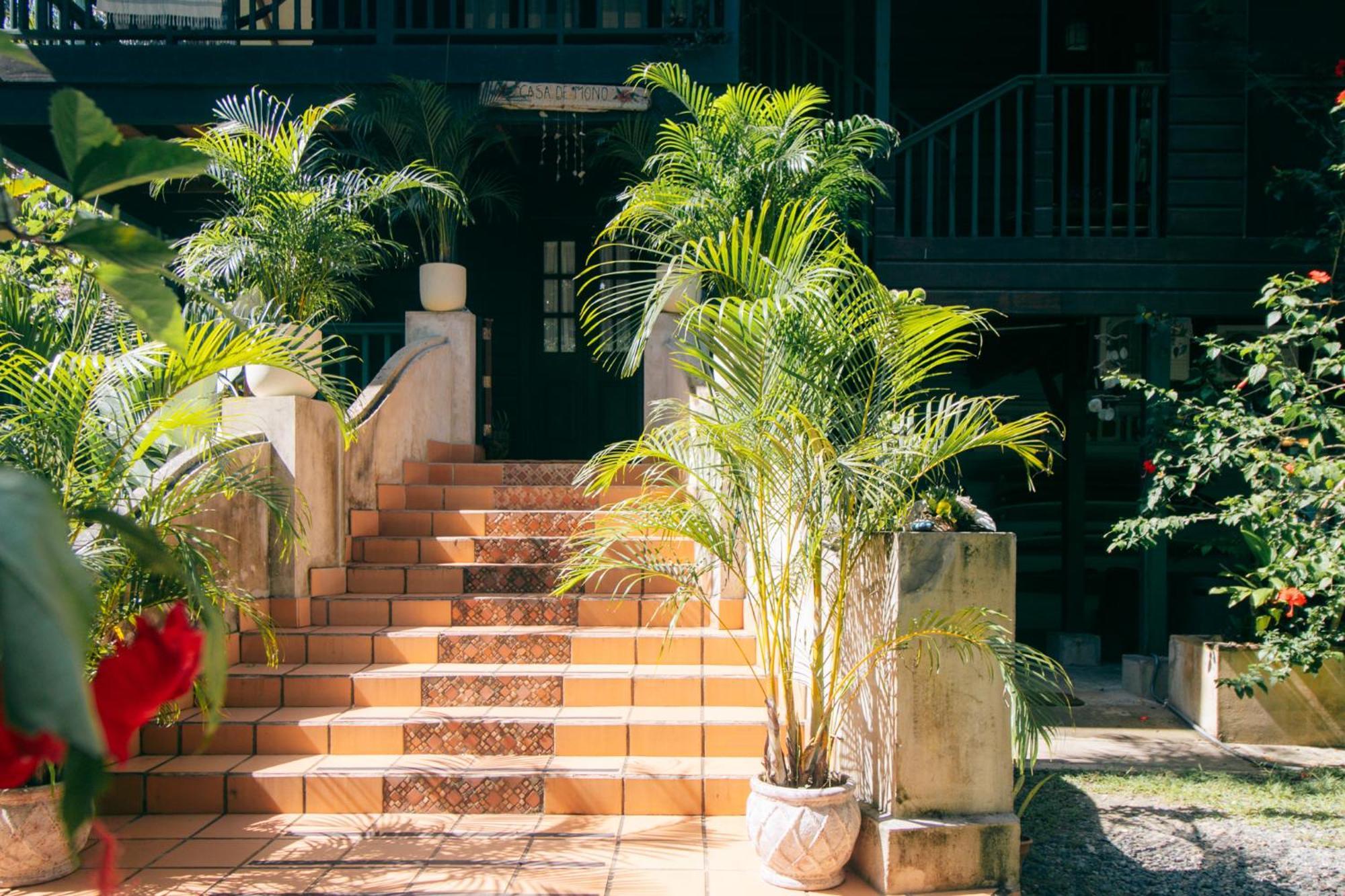 Bed and Breakfast Casa De Mono Bocas Big Creek Экстерьер фото