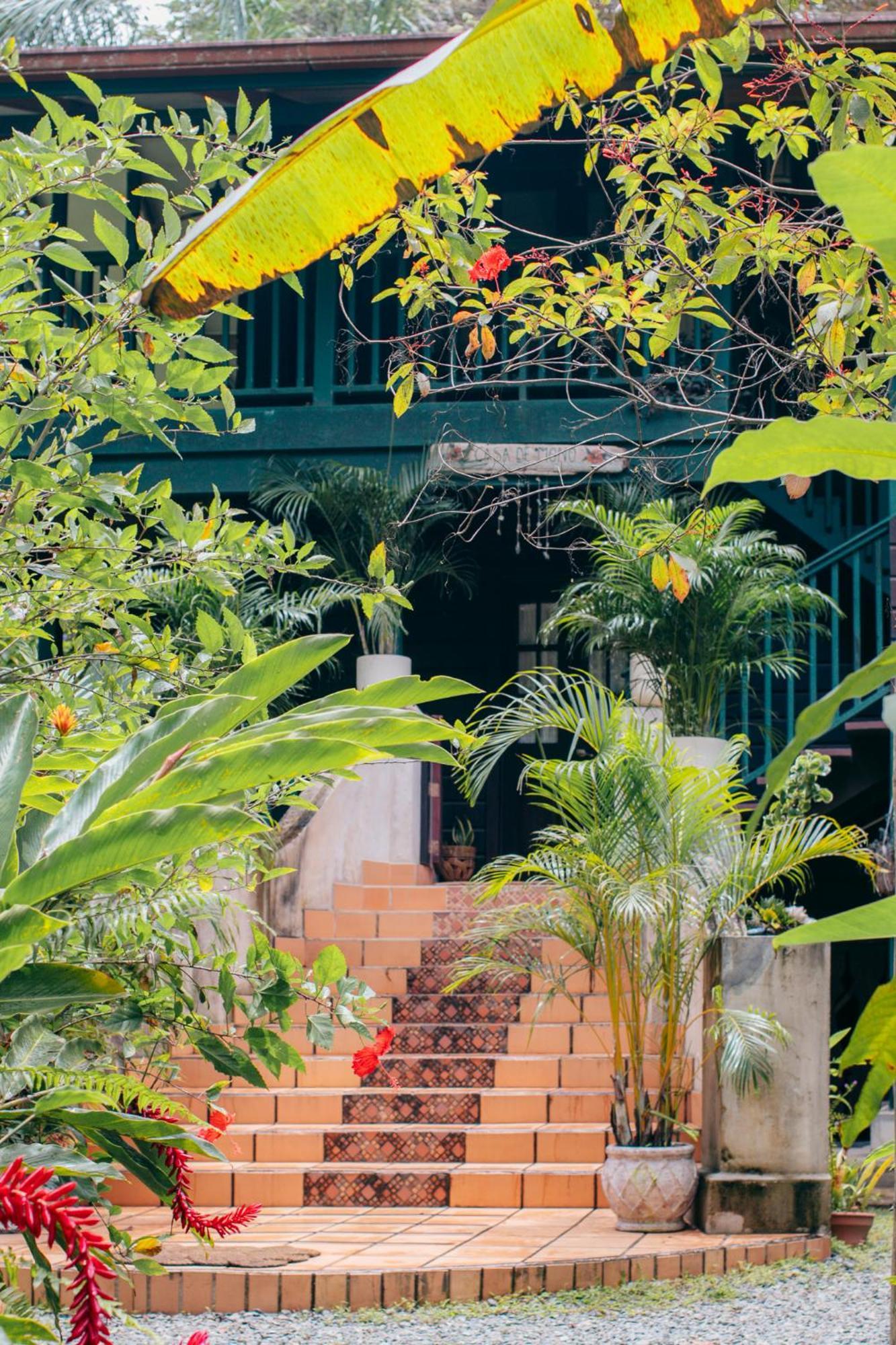 Bed and Breakfast Casa De Mono Bocas Big Creek Экстерьер фото